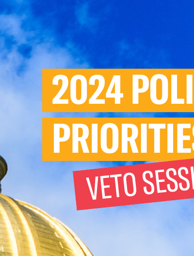 2024 Policy Priorities: Veto Session