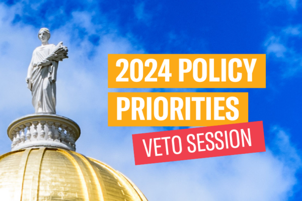 2024 Policy Priorities: Veto Session