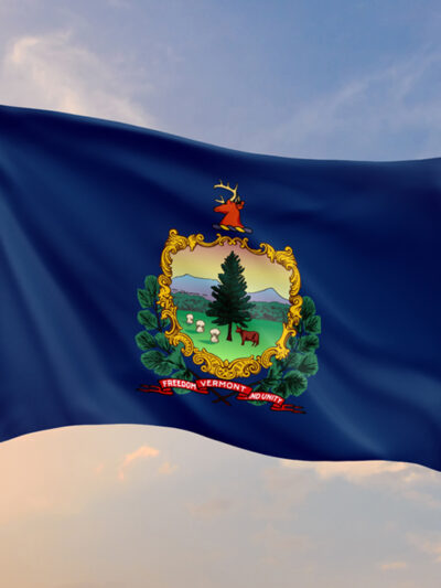 VT Flag against a sunlight sky