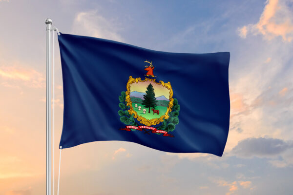 VT Flag against a sunlight sky