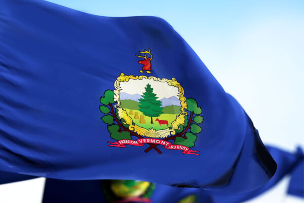 vermont state flag