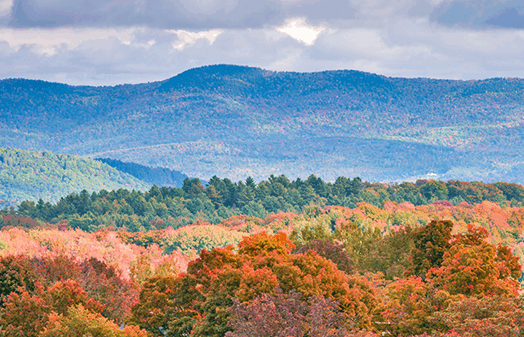 Vermont Image