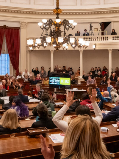 March 11, Public Hearing, VT statehouse, community members