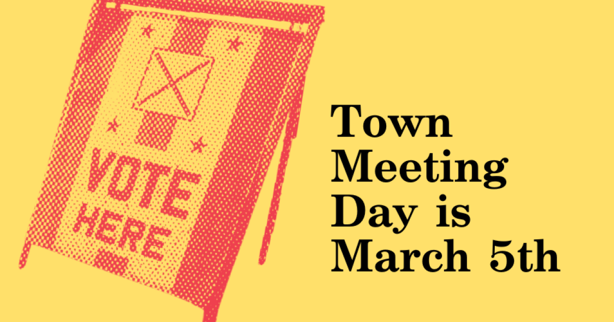 Make a voting plan & vote your values ACLU of Vermont