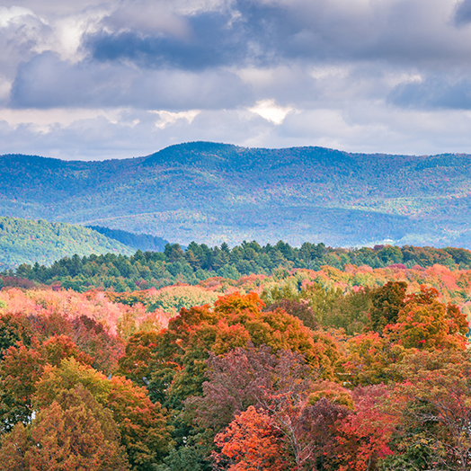 Vermont Image