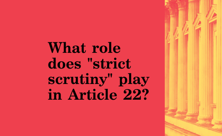 What role does "strict scrutiny" play in Article 22? image of pillars in background