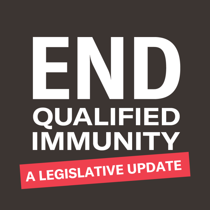 End Qualified Immunity: A Legislative Update