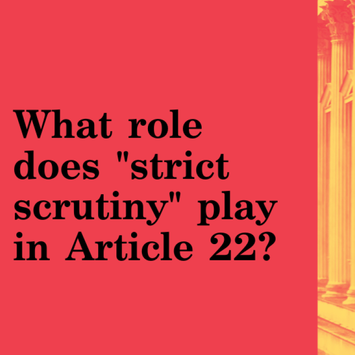 What role does "strict scrutiny" play in Article 22? image of pillars in background